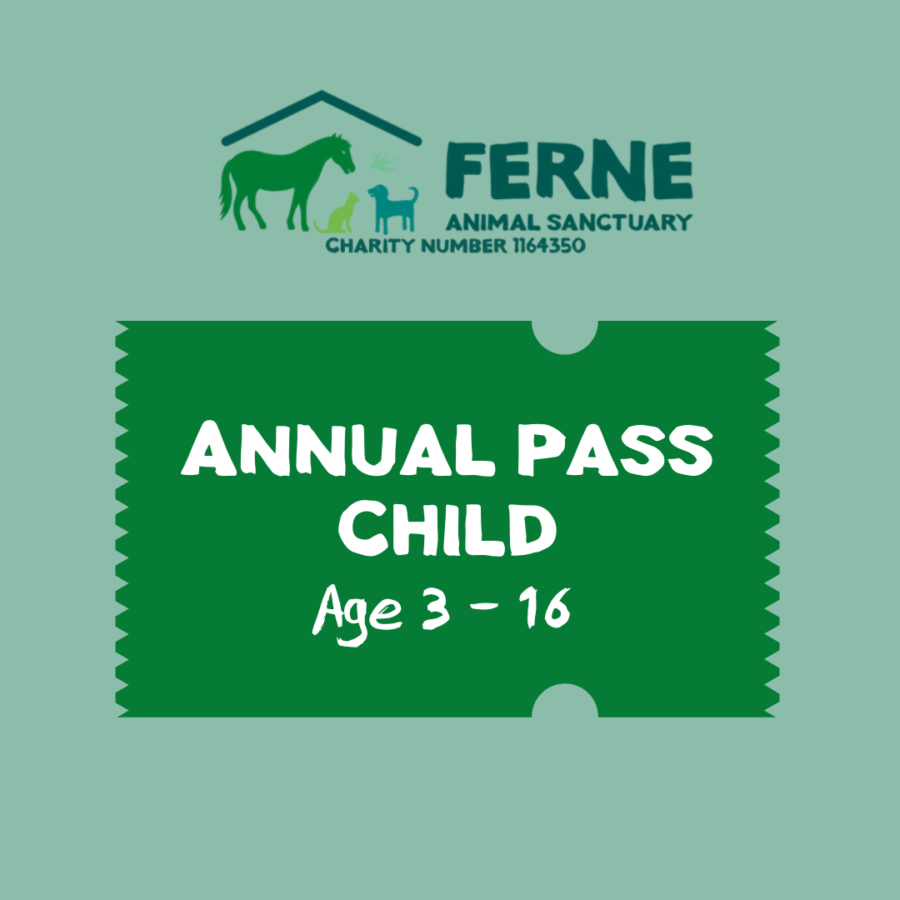 Ferne annual pass child