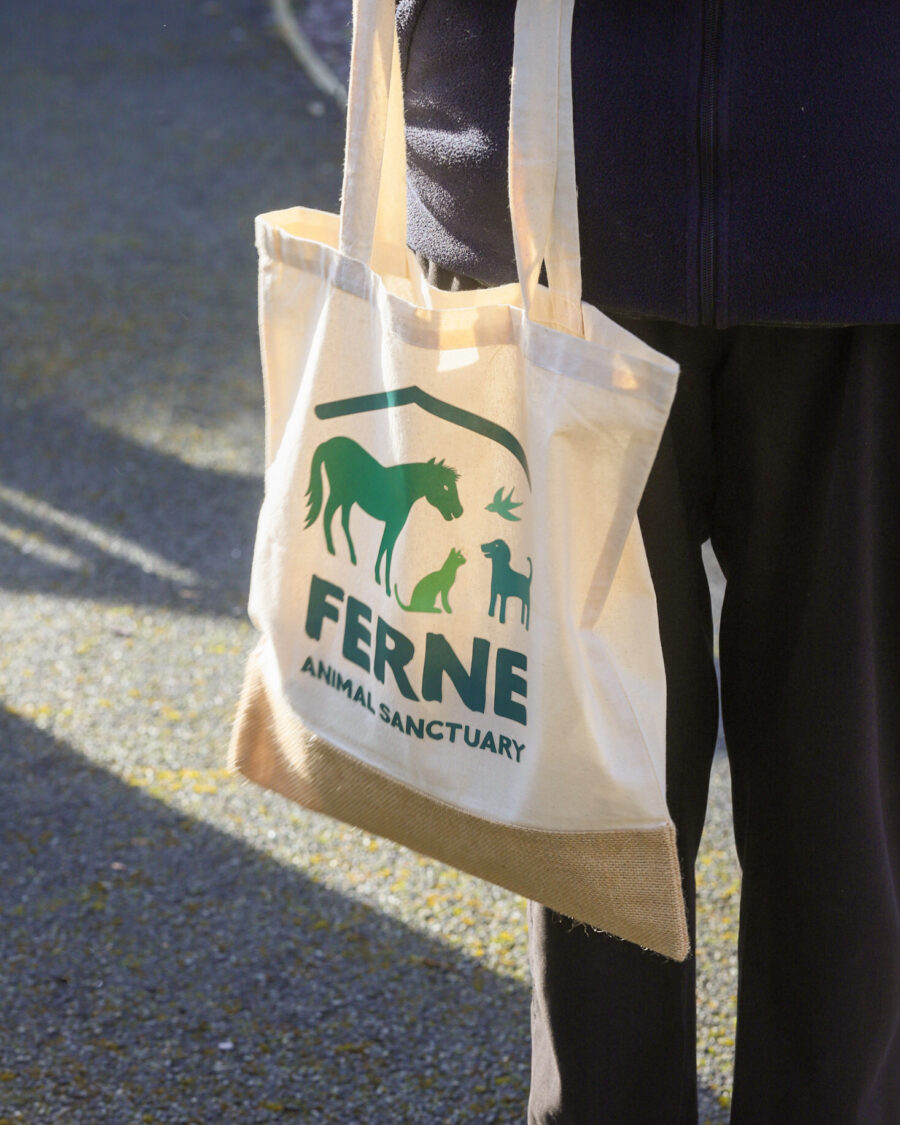 Ferne exclusive tote bag