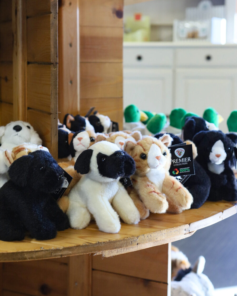 Ferne Gift Shop soft toys