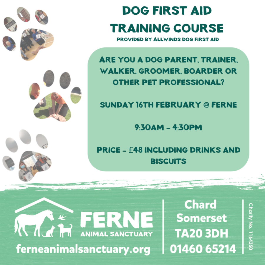 Dog First Aid Course