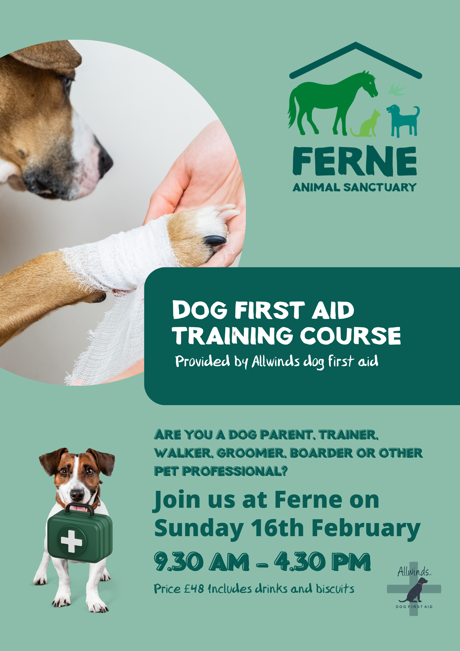 Dog first aid course Ferne Animal Sanctuary 2025