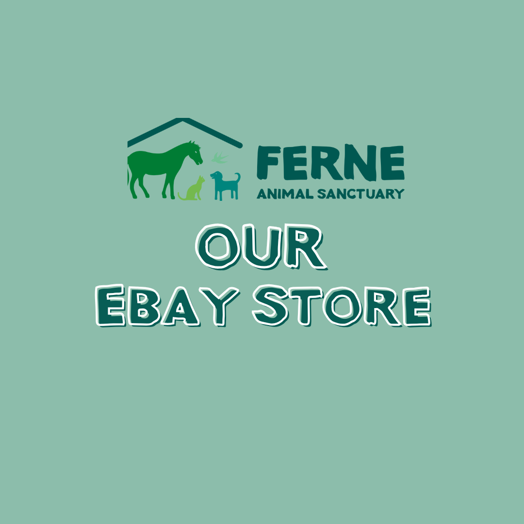 Ferne Animal Sanctuary eBay store