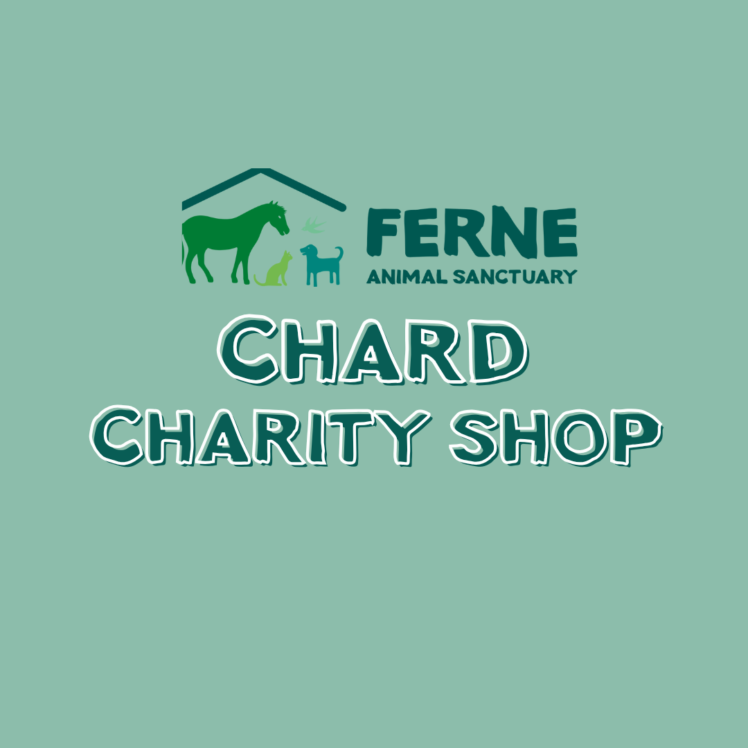 Ferne Animal Sanctuary Charity shop Chard