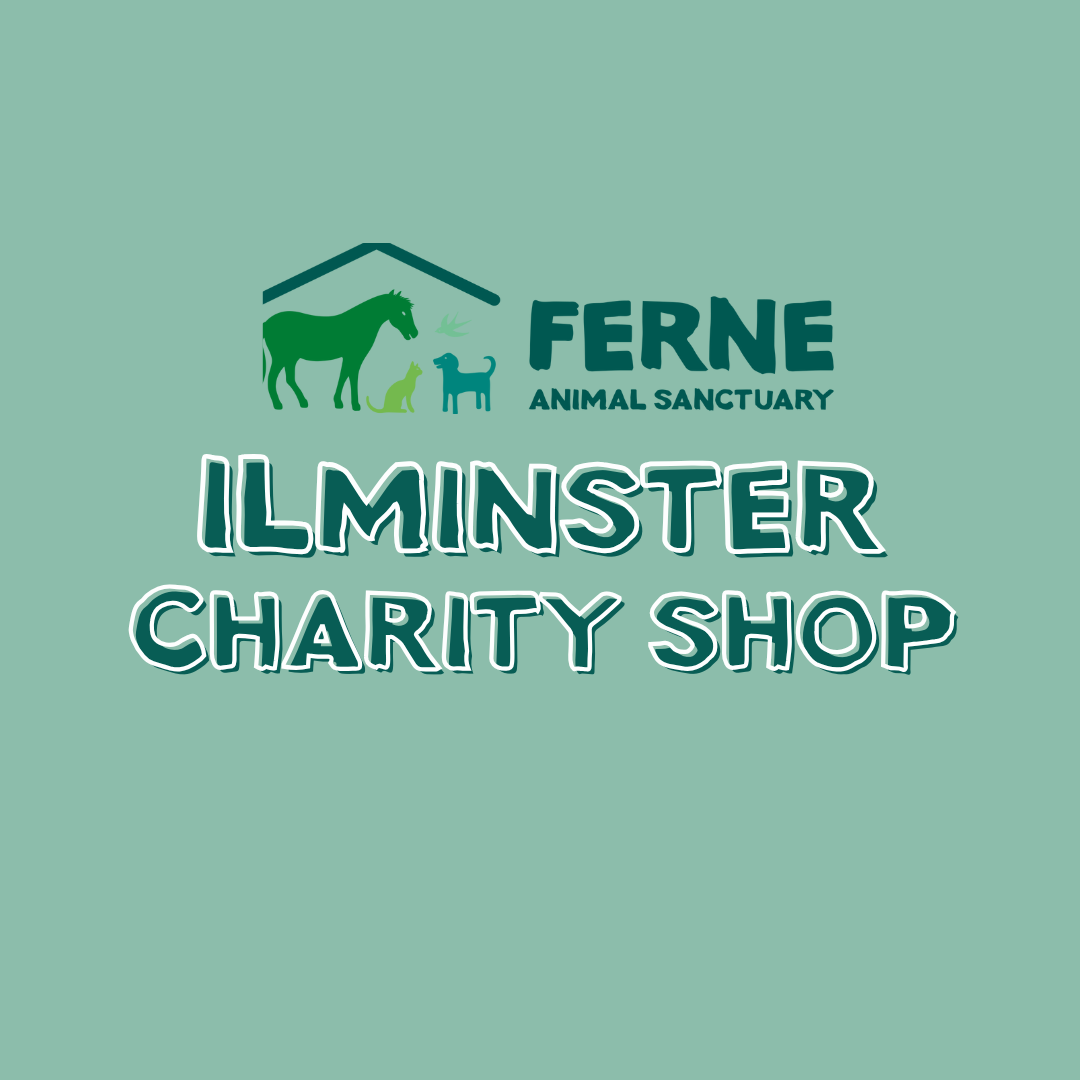 Ferne Animal Sanctuary Charity shop Ilminster