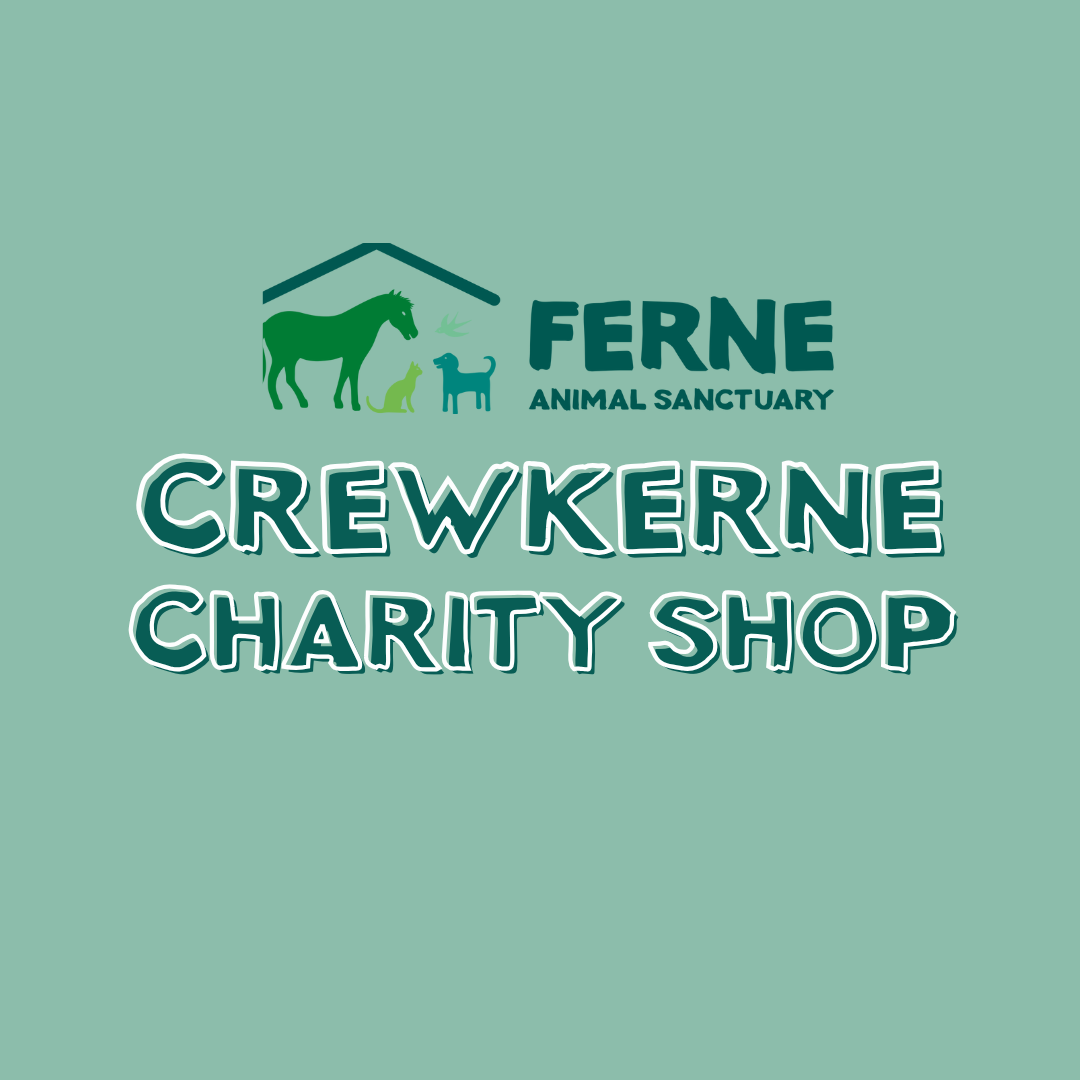 Ferne Animal Sanctuary Crewkerne Charity shop