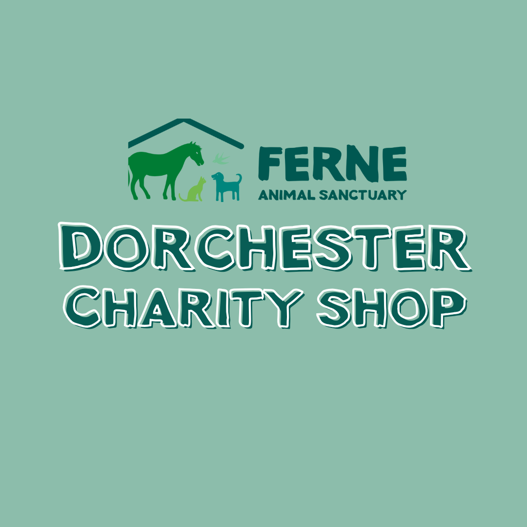 Ferne Animal Sanctuary Charity Shop Dorchester