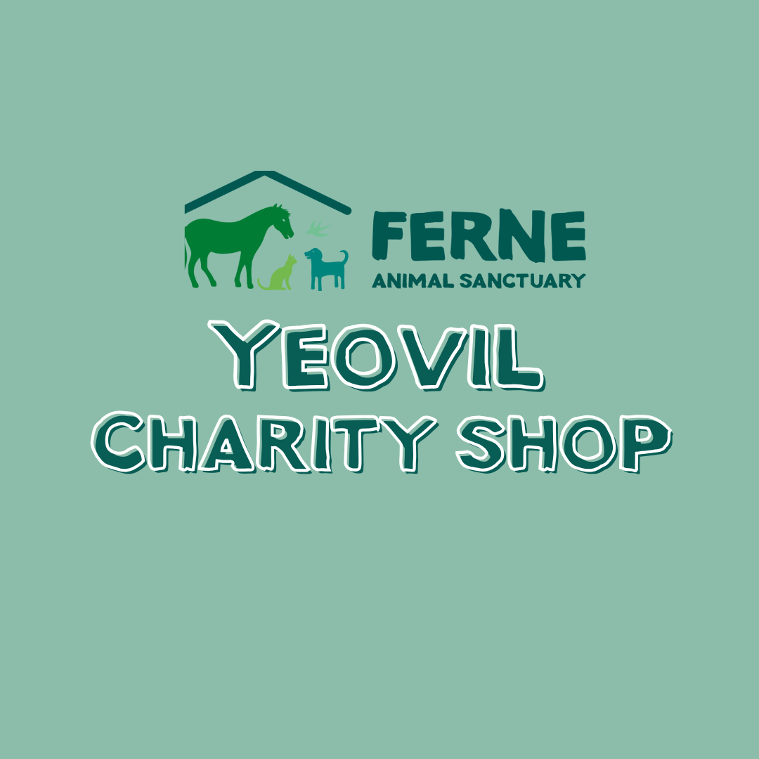 Ferne Animal Sanctuary Charity Shop Yeovil