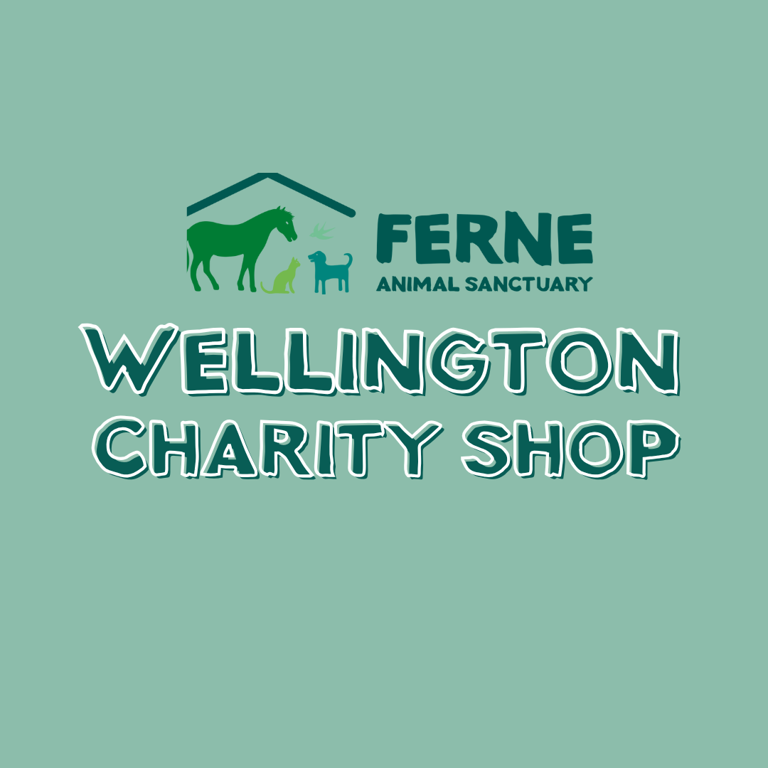 Ferne Animal Sanctuary Charity shop Wellington