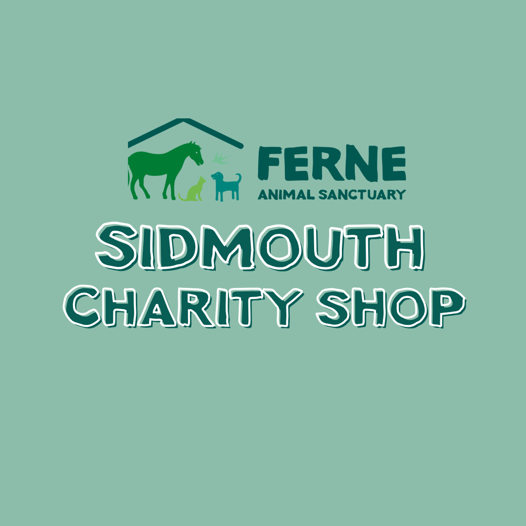 Ferne animal Sanctuary Charity shop Sidmouth